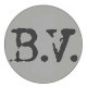 Bear Ventures LLC logo