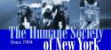 The Humane Society of New York logo