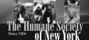 The Humane Society of New York logo