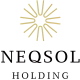 NEQSOL Holding | Global logo